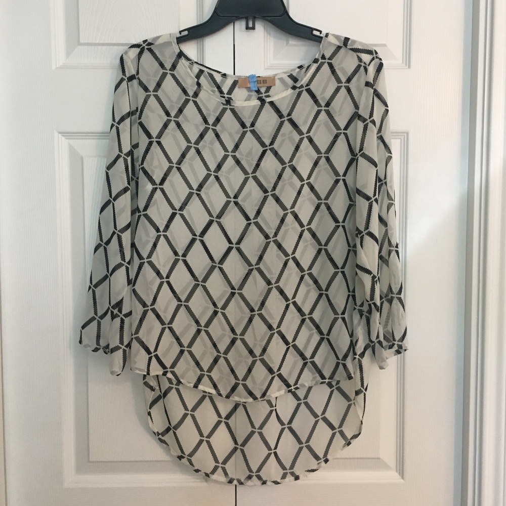 Long sleeves sheer blouse